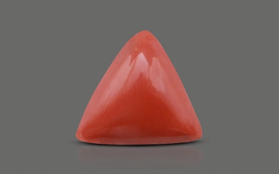 Red Coral - TC 5067 (Origin - Italy) Limited - Quality